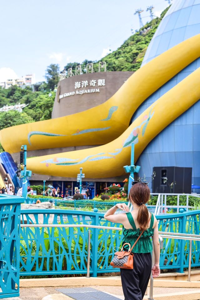 不輸迪士尼｜不可錯過的香港海洋公園遊玩攻略