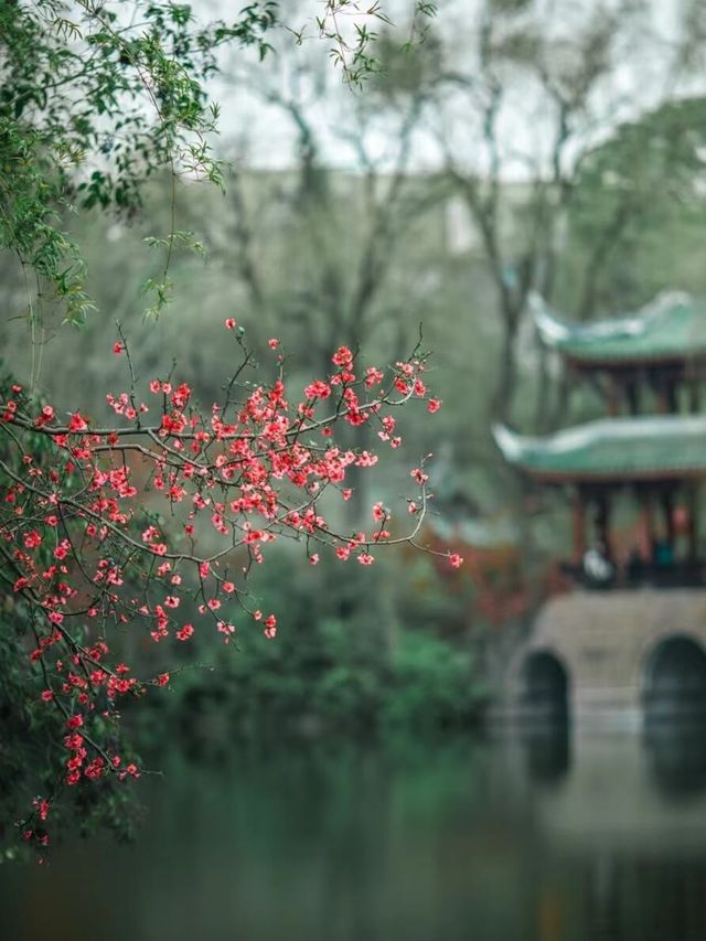 棠湖公園旅遊攻略