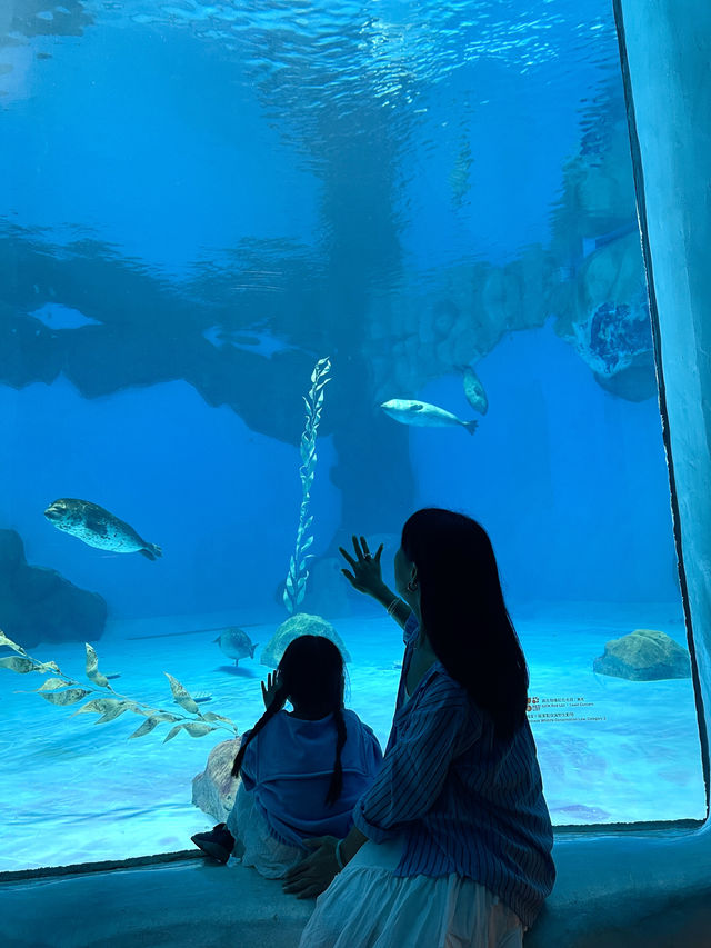 絲滑的香港海洋公園攻略，春日奇妙之旅開啟