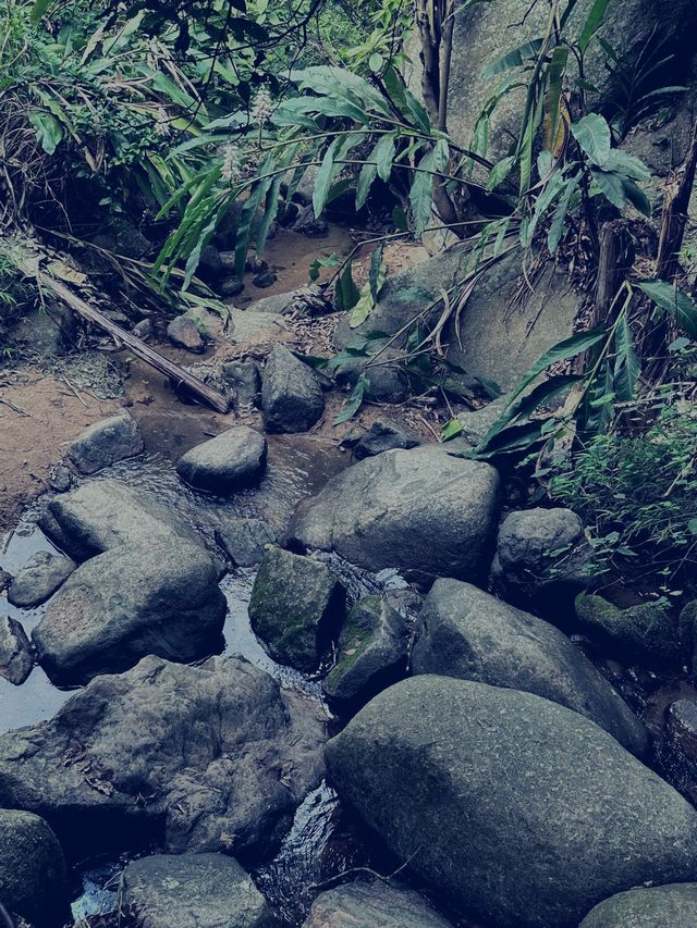 深圳徒步|週末來爬陽台山啦和我的爬山搭子日常