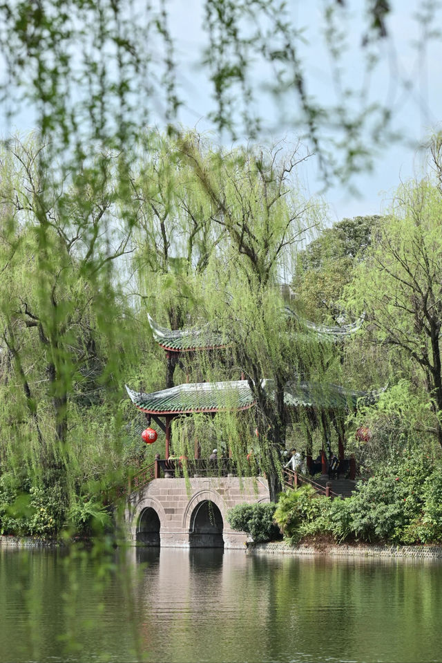 成都古風園林的天花板/棠湖公園～