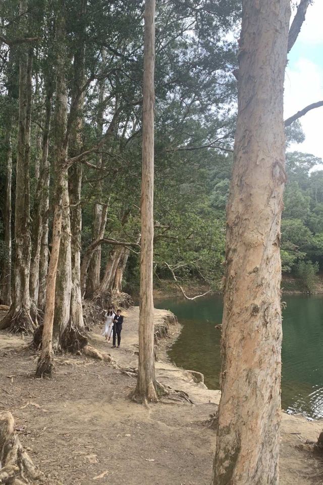 城門水塘．輕鬆打卡拍唯美照