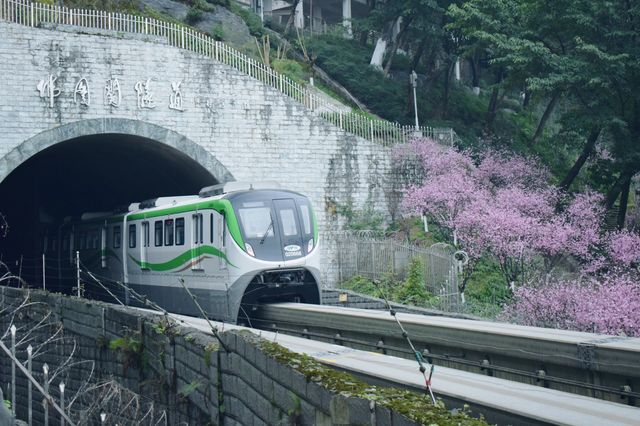 開往春天的列車，路線推薦