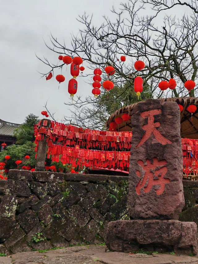 打卡武夷山