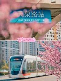 Popular Nanjing Qilin Tram is Beautiful 🇨🇳