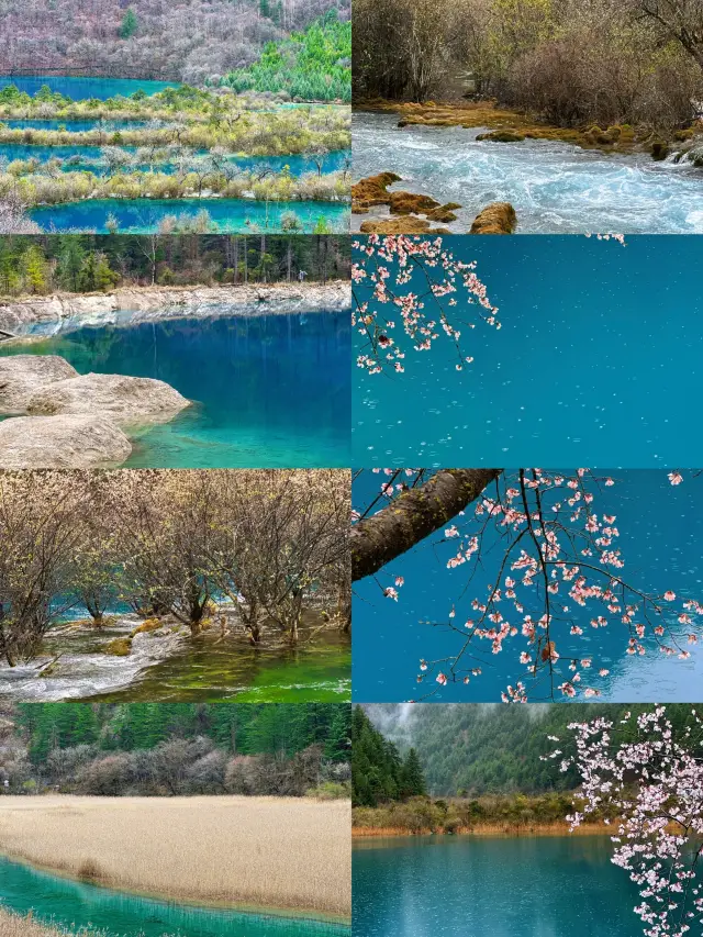 Jiuzhaigou is stunningly beautiful right now~