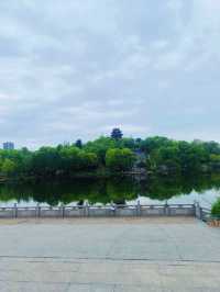 帶孩子就來秀湖公園