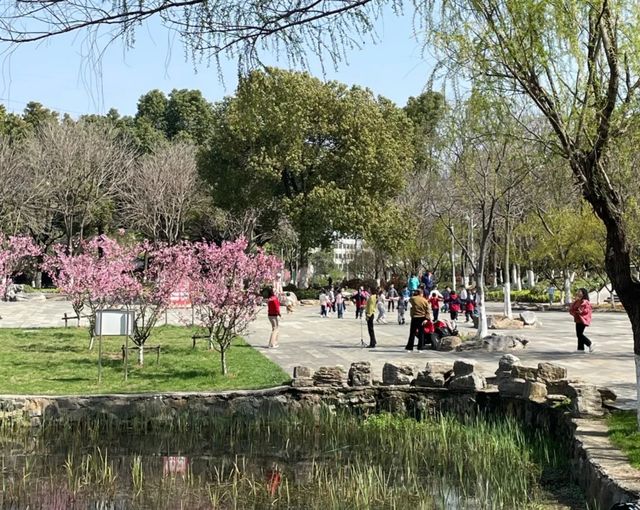 湖北荊門太子山國家森林公園‖荊門必打卡景點之一