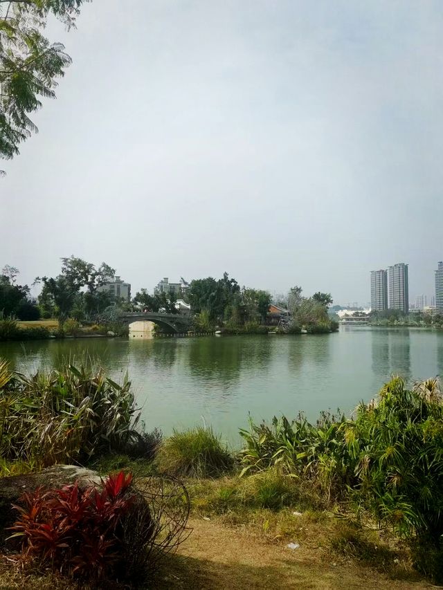 周末踏青賞花，那就來福州這個最大的綜合性公園吧！