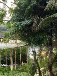 湛江徐闻公園遊記