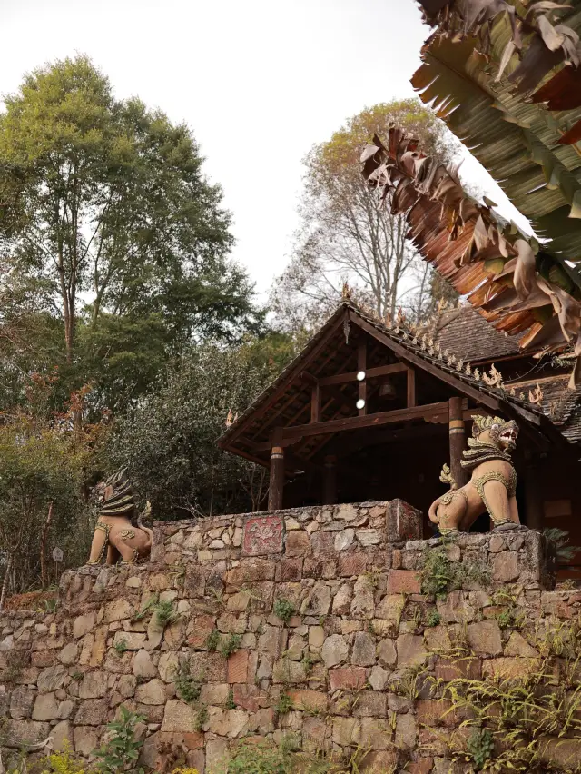 Jingmai Mountain | Wengji Ancient Village