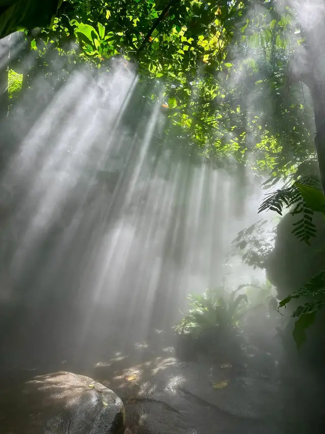 Please make sure to visit Xiamen Botanical Garden during the May Day holiday