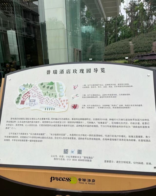 五一一定要逛完這裡再離開長沙，不然太遺憾
