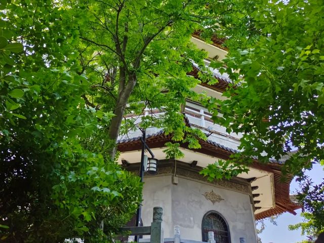 安徽蚌埠張公山公園‖蚌埠必打卡景點之一