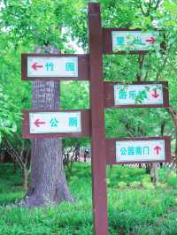 鄭州夏日避暑玩水好去處（附人民公園避暑攻略）