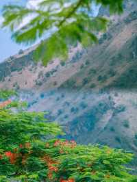 雲南大山裡的寶藏小鎮
