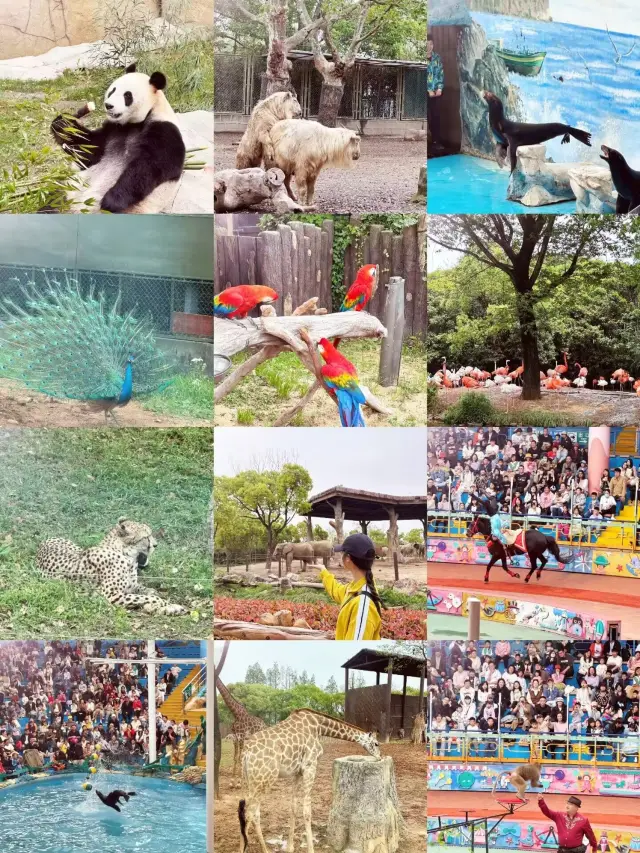 聽著！！！去了三次總結的一日遊最佳攻略