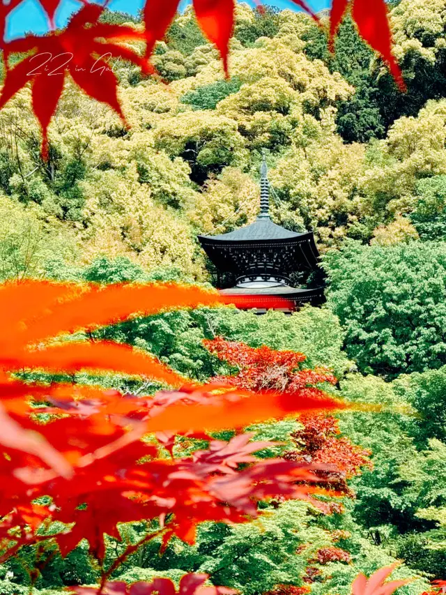 「京都南禪寺遊玩，春季不可錯過的賞花郊遊好去處」