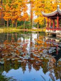 🌟 Wuhan's Top Family-Friendly Attractions Unveiled 🎡👨‍👩‍👧‍👦