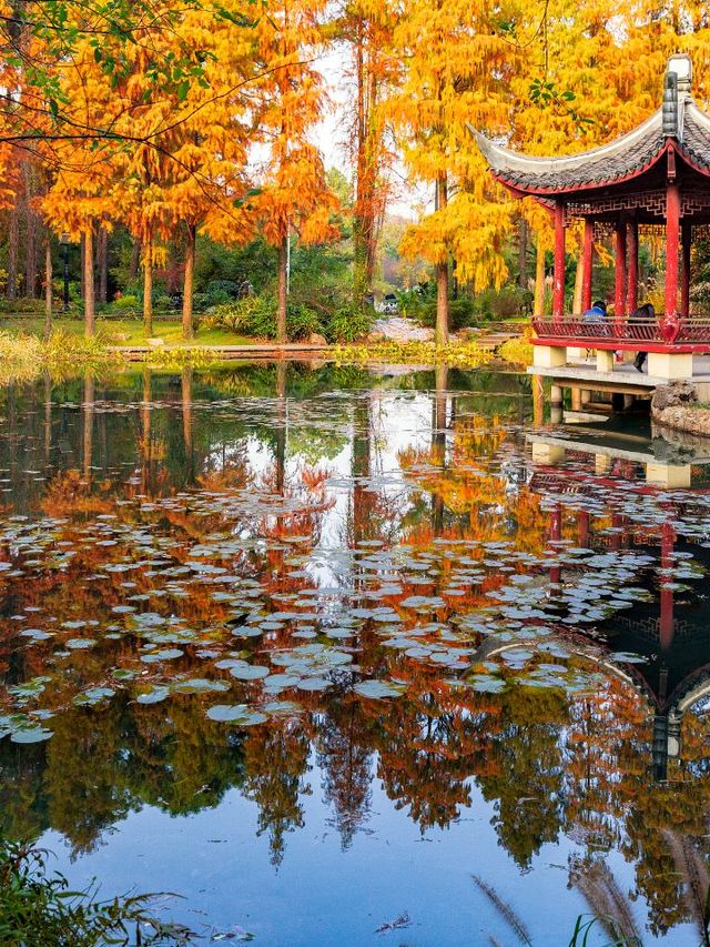 🌟 Wuhan's Top Family-Friendly Attractions Unveiled 🎡👨‍👩‍👧‍👦