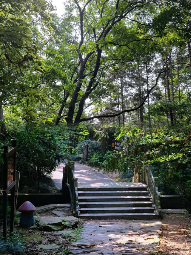合肥周邊遊——冶父山國家森林公園