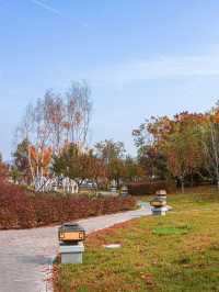 🌟 Baishi Mountain Bliss: Holiday Inn Wuyuan 🌿🏨