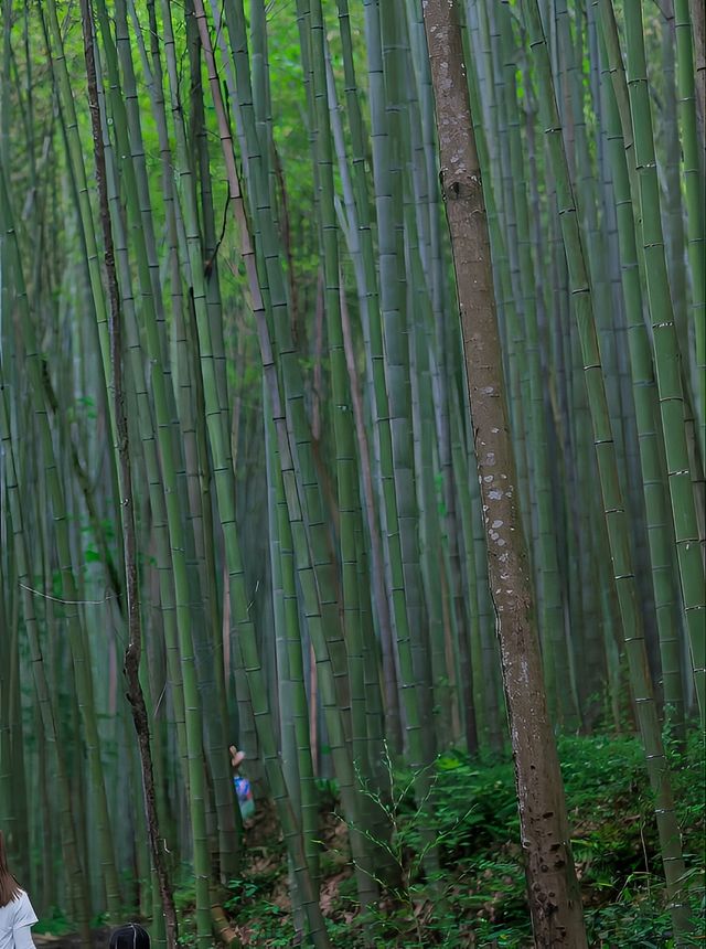 彭州陽平玄觀