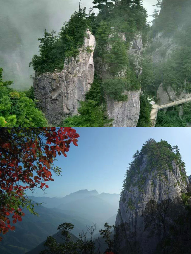 秦嶺天竺山旅遊攻略