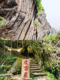 岩石清澈，樹木翠綠，茶香四溢，武夷山國家公園的真實體驗