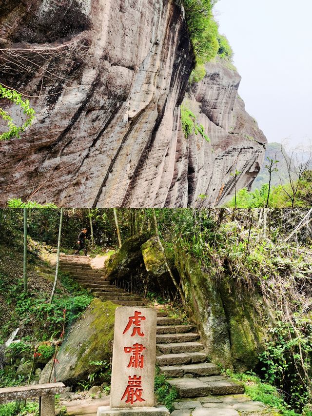 岩石清澈，樹木翠綠，茶香四溢，武夷山國家公園的真實體驗