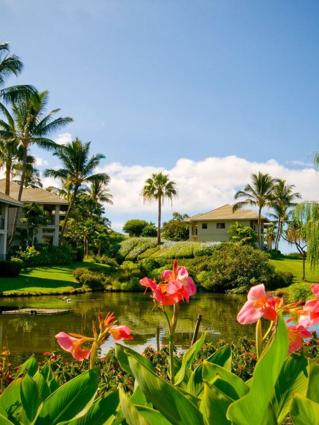 🌴✨ Maui Magic: Top Stay at Hotel Wailea 🌺🏖️