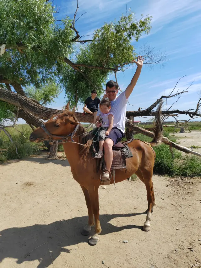 《나의 알타이》 촬영지를 방문한 나의 추천 여행 방법