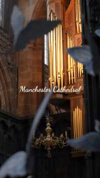 Manchester Cathedral｜Come here and make a wish with the butterflies, it will come true 🦋