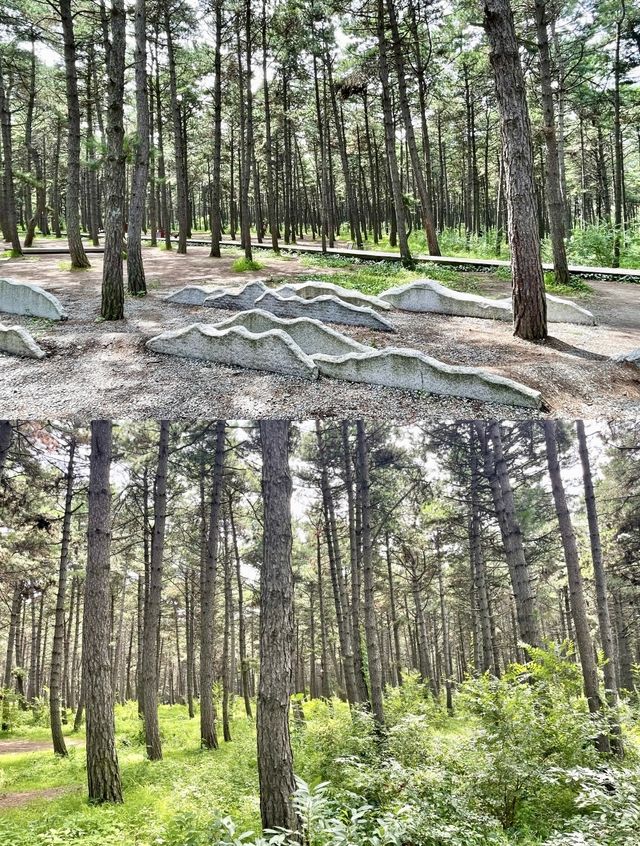 淨月潭遊玩攻略（五）