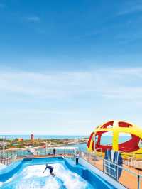 🚢【ovation of the seas】--up to 60% discount🎉🎉