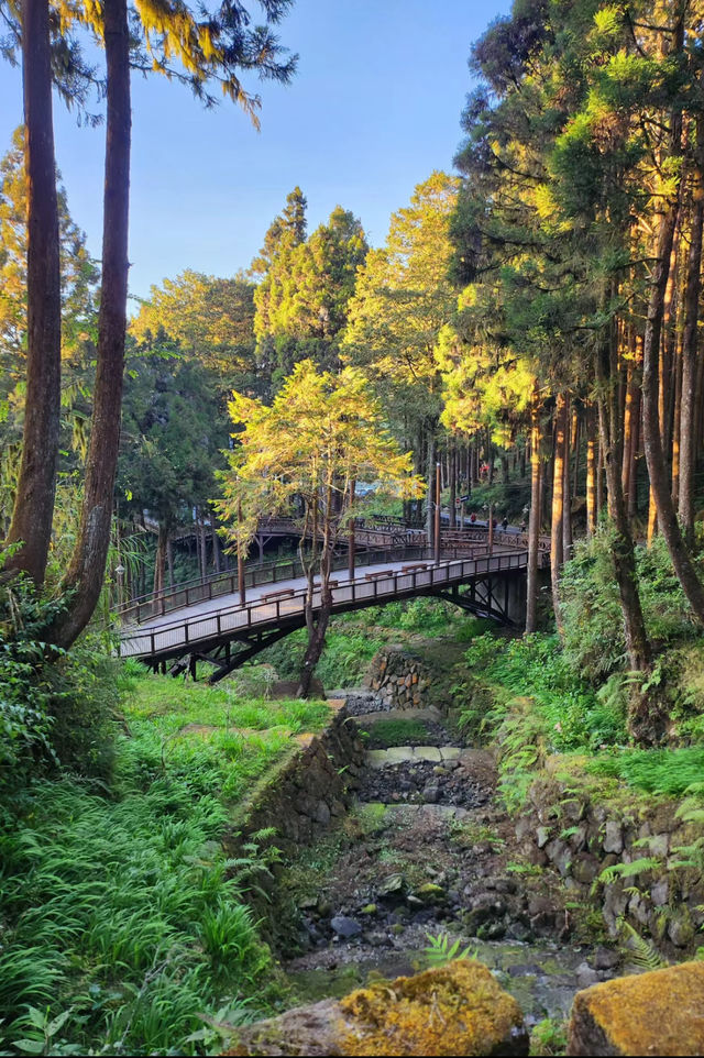 台灣環島自駕之旅:跳石海岸與九份老街的奇幻邂逅。