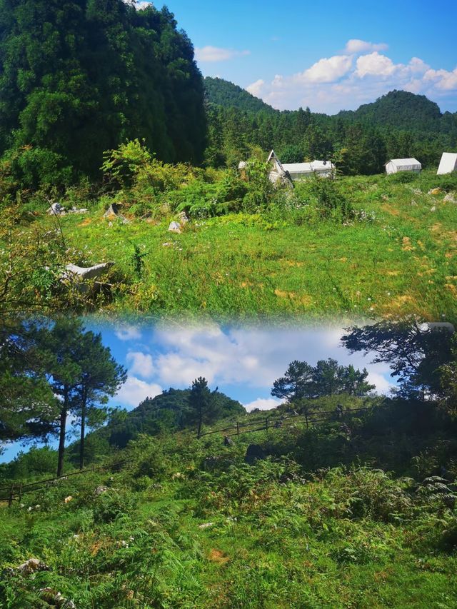 重慶人真係好低調呀!咁靚嘅地方竟然無人宣傳。
