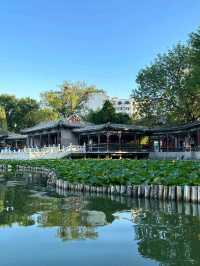 天津|人民公園~免費遛娃好去處。