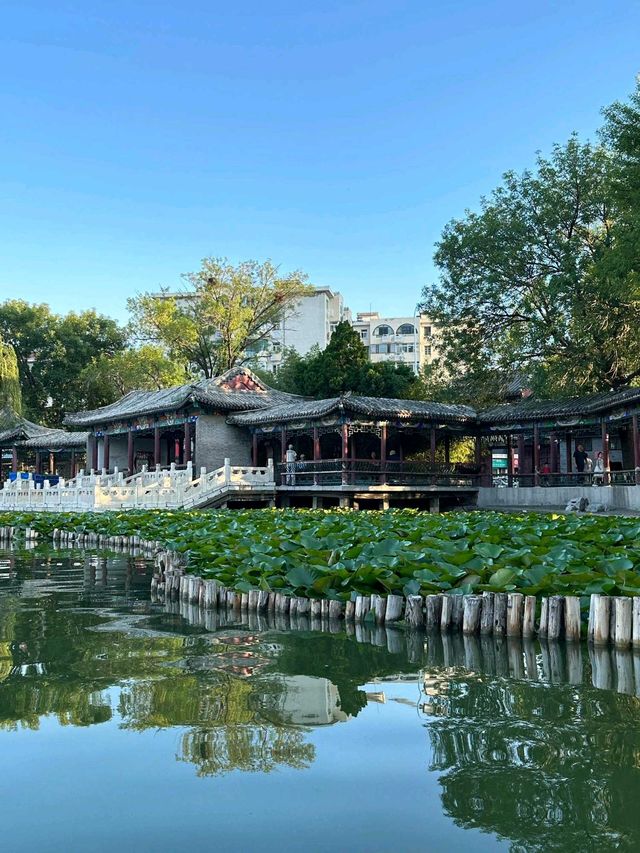 天津|人民公園~免費遛娃好去處。