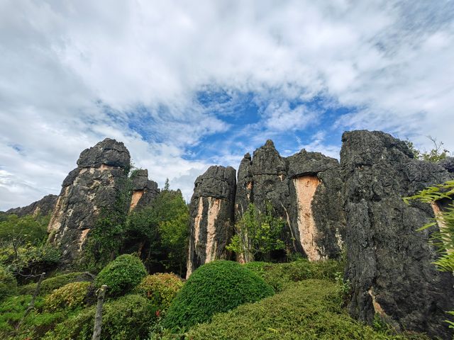 AAAA景區公園中醫藥博物館大花園。