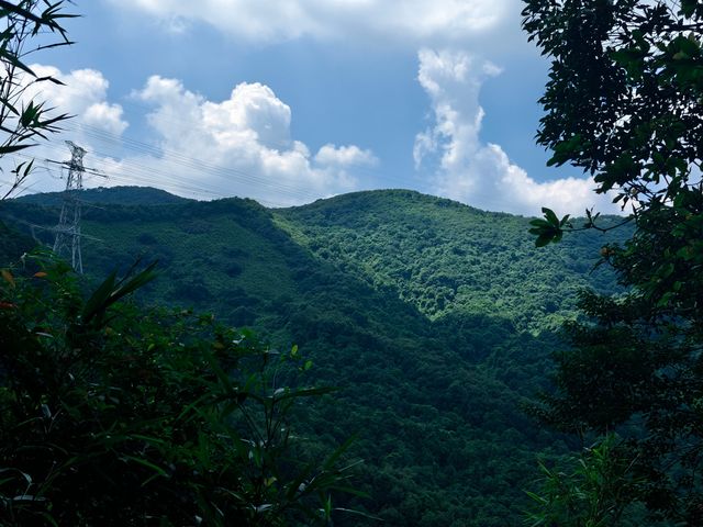 陽台山公園。