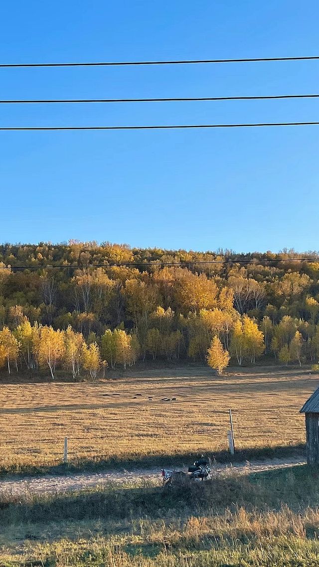 國慶反向旅行成功,推薦個被低估的賞秋地。
