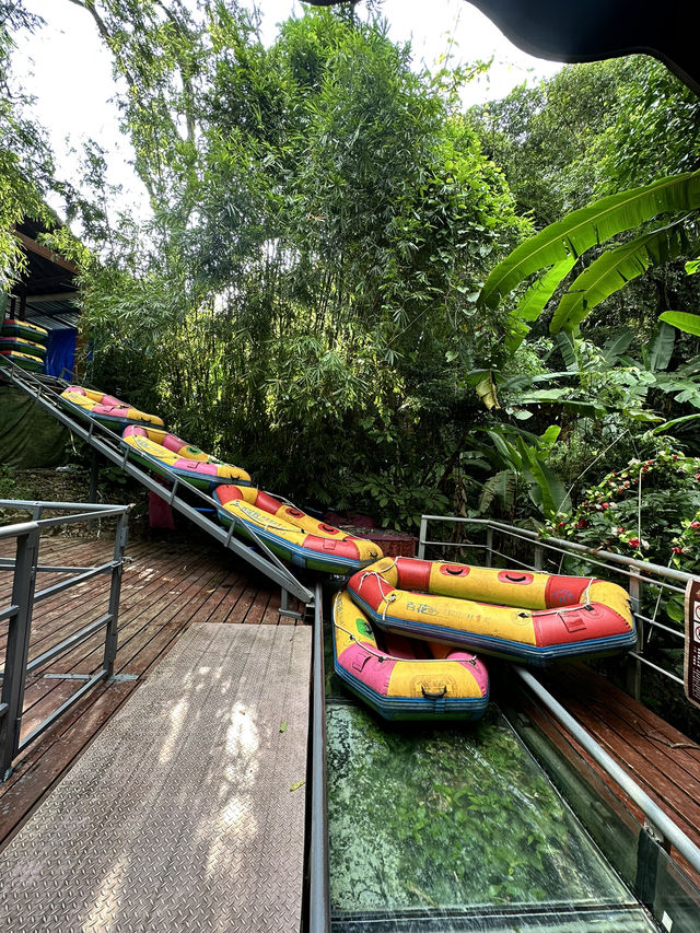 Rainforest Wonders 💚