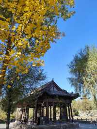 常家莊園簡介