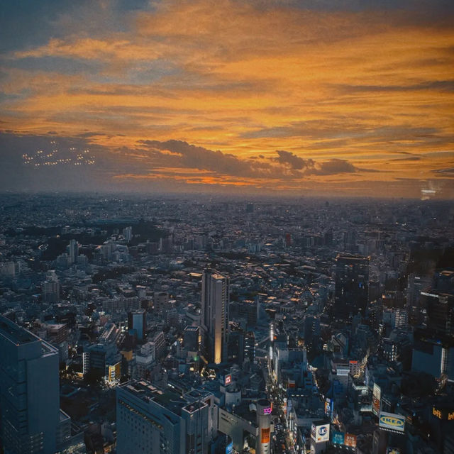 Shibuya sky deck Tokyo Japan 