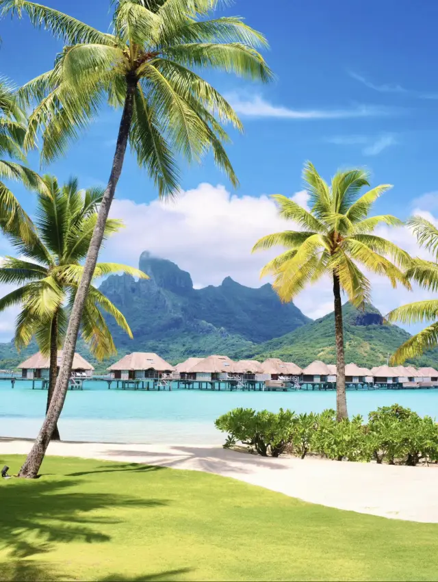 ทาฮิติ | บรันโด ลอดจ์ ตอบโจทย์ทุกความคาดหวังของคุณเกี่ยวกับโรงแรมบนเกาะ