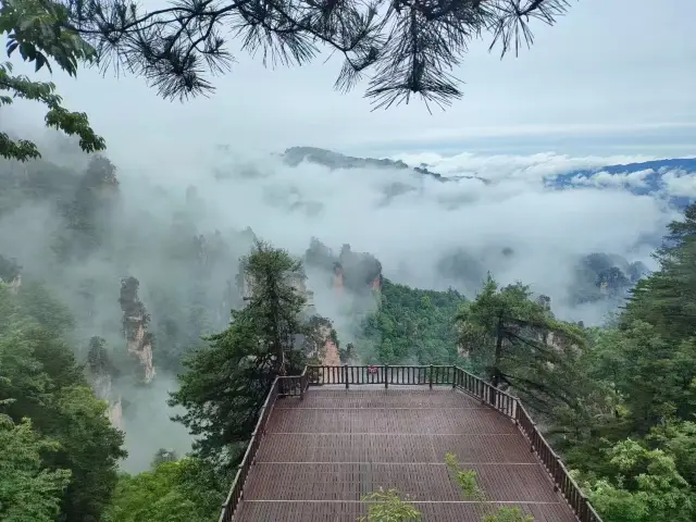 張家界三天兩晚怎麼玩~。
張家界｜三天兩晚保姆級攻略！！😋（附時間