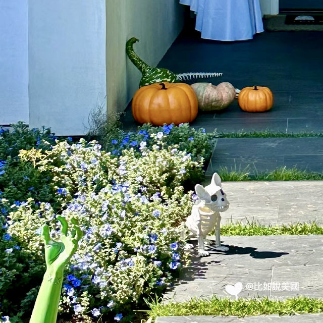 Spooky Halloween center of Willow Glen neighbourhood