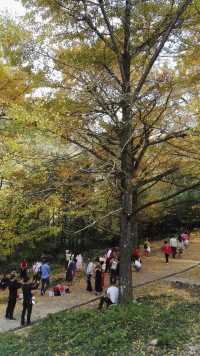 永州桐子坳景區、岑天河水庫、盤王殿之旅。