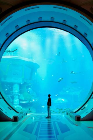 亞斯島海洋世界｜終於打卡了目前我心中的水族館天花板。